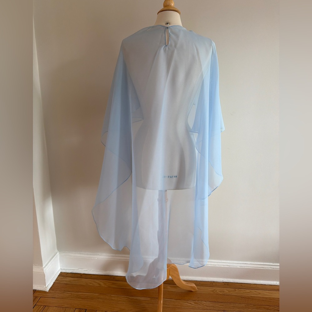 Carolina Herrera butterfly applique strapless column dress gown &custom cape - Picture 14 of 14